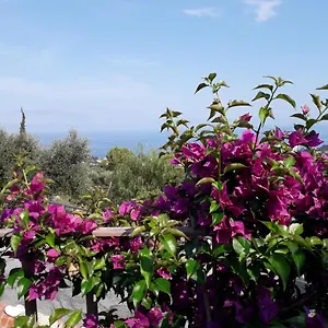 Il Porto Di Benny Couette-café